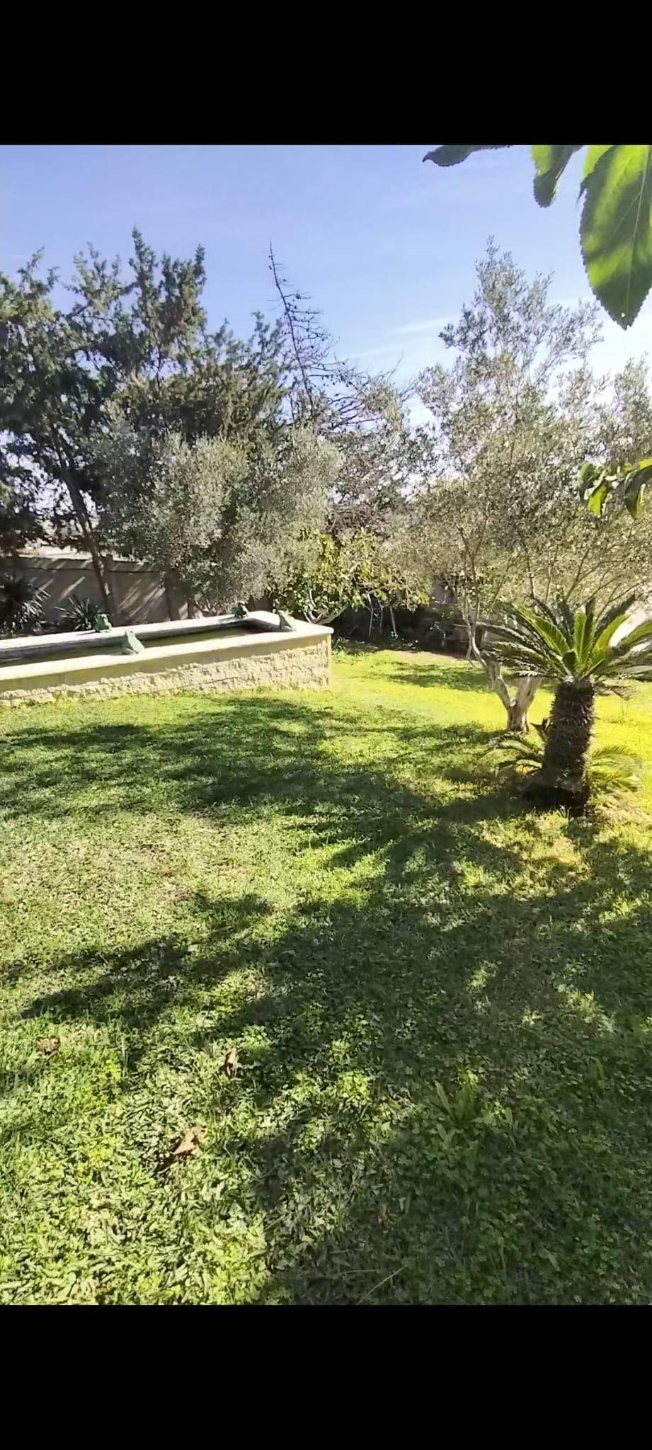 Finca in Chiclana de la Frontera, Andalusia, Spain 3 - 16661459