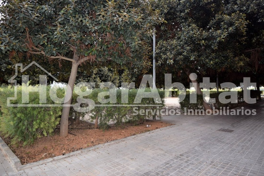 Andere in Silla, Land Valencia, Spanien 5 - 18197260