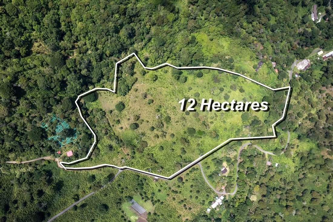 Finca in Los Naranjos, Chiriquí Province, Panama 1 - 18196490