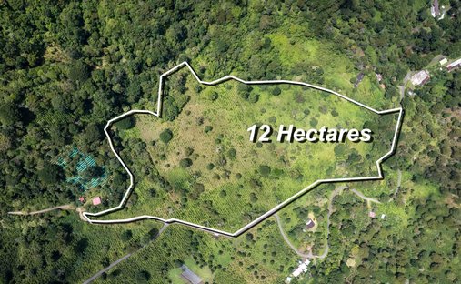 Finca en Los Naranjos, Provincia de Chiriquí, Panamá 1