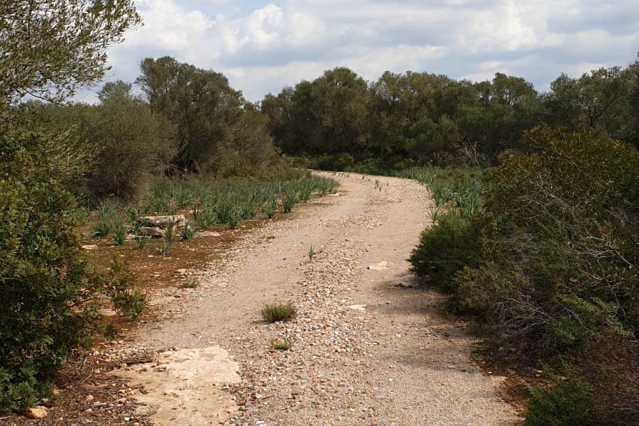 Land in Llucmajor, Balearic Islands, Spain 5 - 18191562