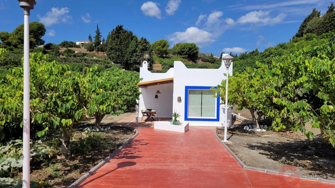 Finca in Salobrena, Andalusia, Spain 1 - 16933999