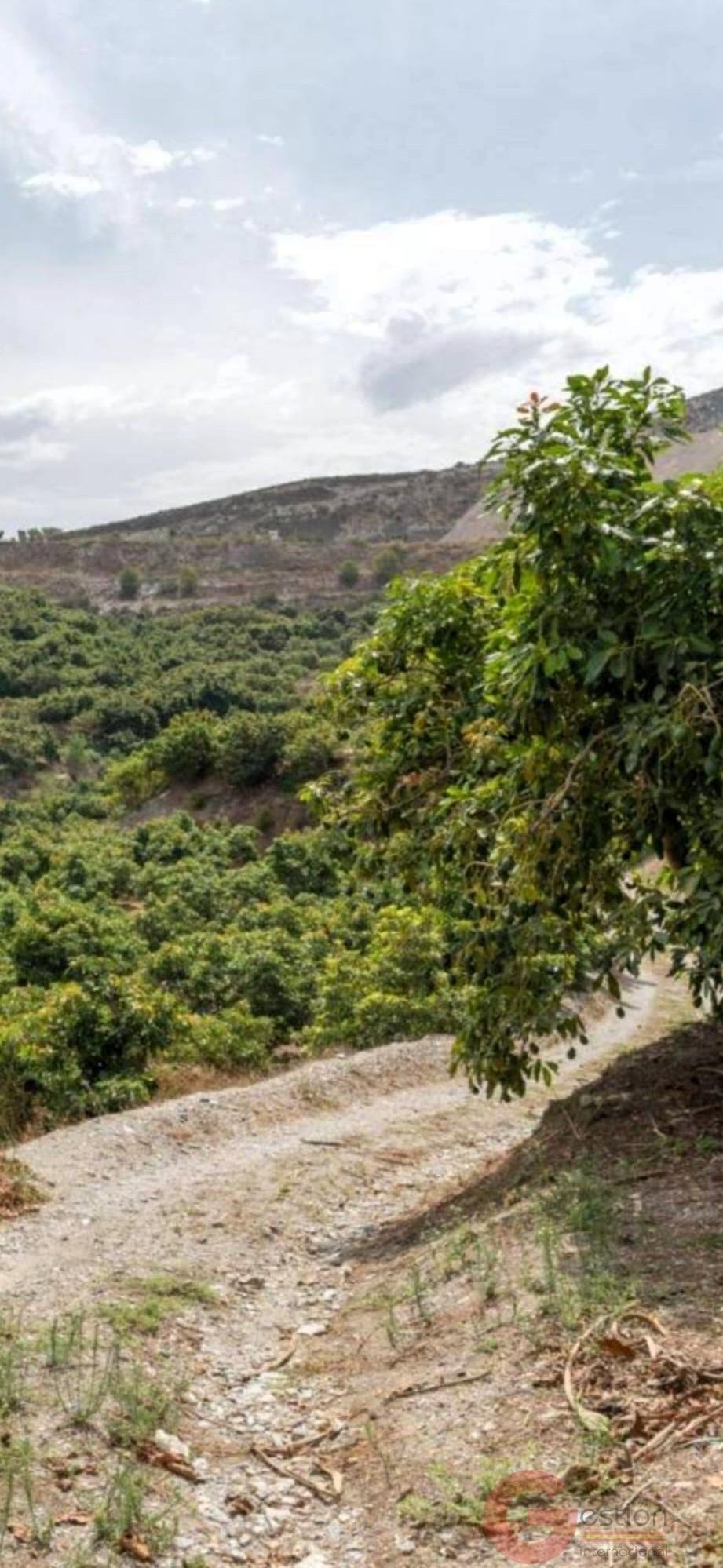 Finca in Motril, Andalusia, Spain 1 - 16933668