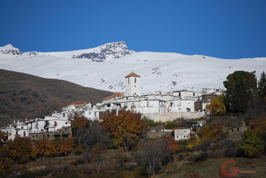 Land in Motril, Andalusia, Spain 4 - 16934027