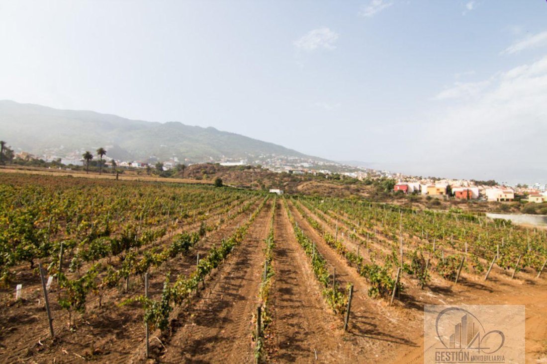 Finca in La Quinta, Canary Islands, Spain 1 - 12142075