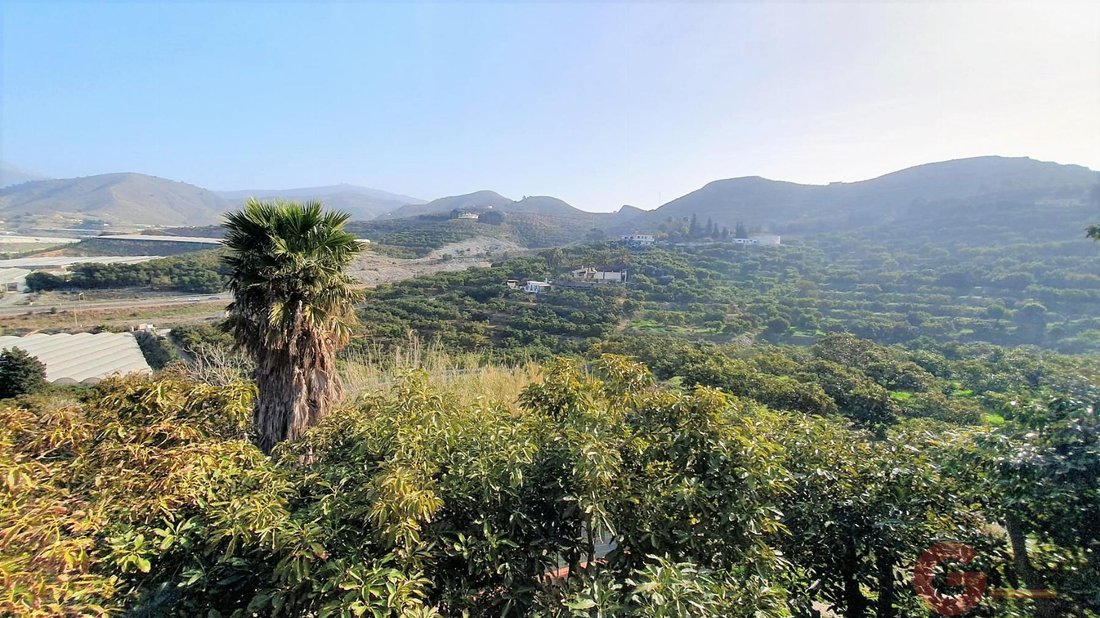 Finca in Motril, Andalusia, Spain 5 - 16933668