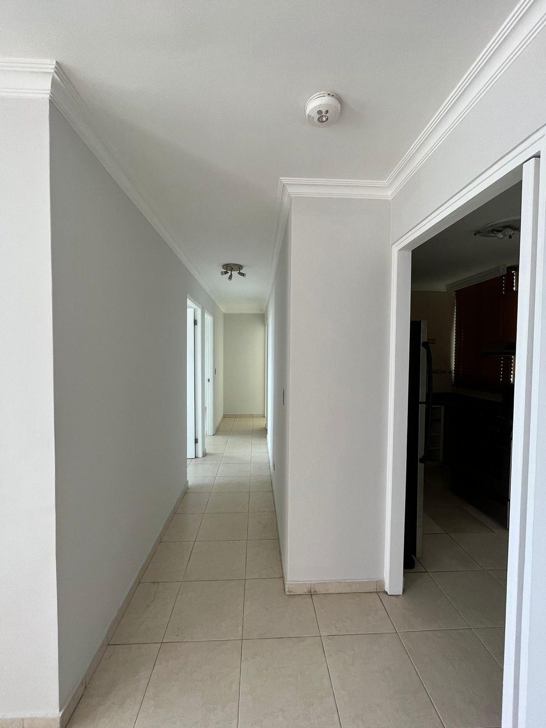Apartment in Panama City, Panama, Panama 4 - 18196486