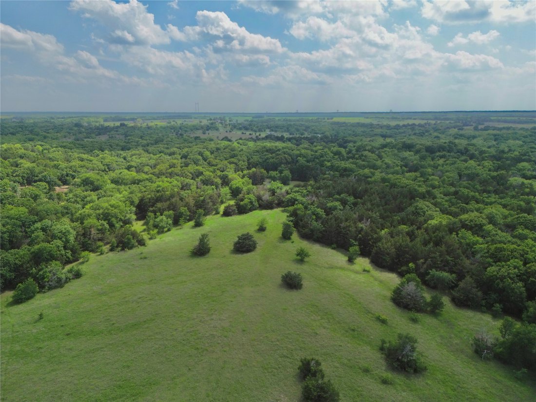 Land in Savoy, Texas, United States 2 - 18196117