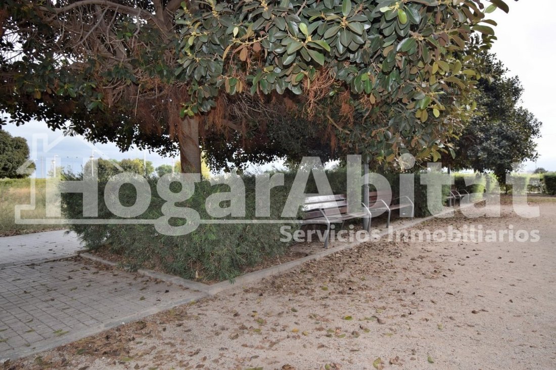 Andere in Silla, Land Valencia, Spanien 4 - 18197260