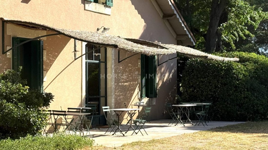 House in Saint-Laurent-d'Aigouze, Occitania, France 5 - 18197357