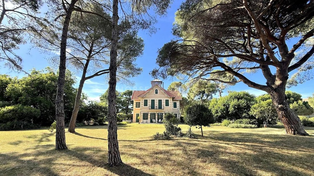 House in Saint-Laurent-d'Aigouze, Occitania, France 1 - 18197357