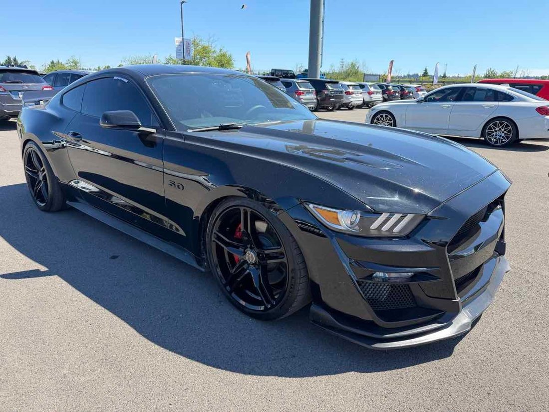 Coupe in Puyallup, WA, United States 2 - 17991510