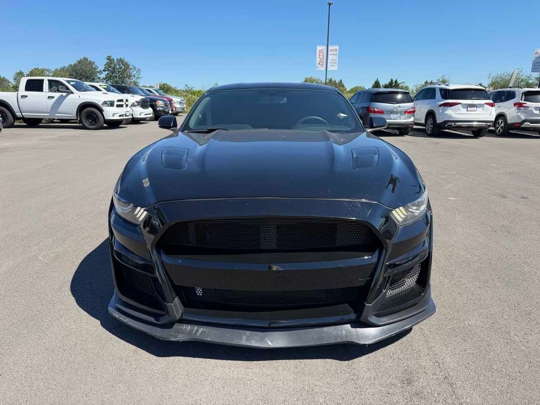 Coupe in Puyallup, WA, United States 3 - 17991510