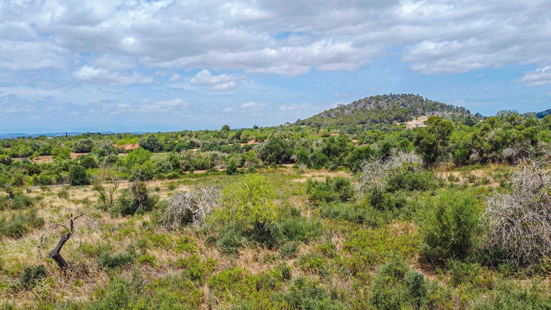 Felanitx, Balearic Islands, Spain 3 - 18197874