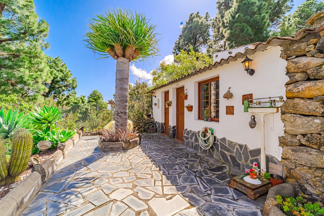 Farm Ranch in Icod de los Vinos, Canary Islands, Spain 5 - 18197454