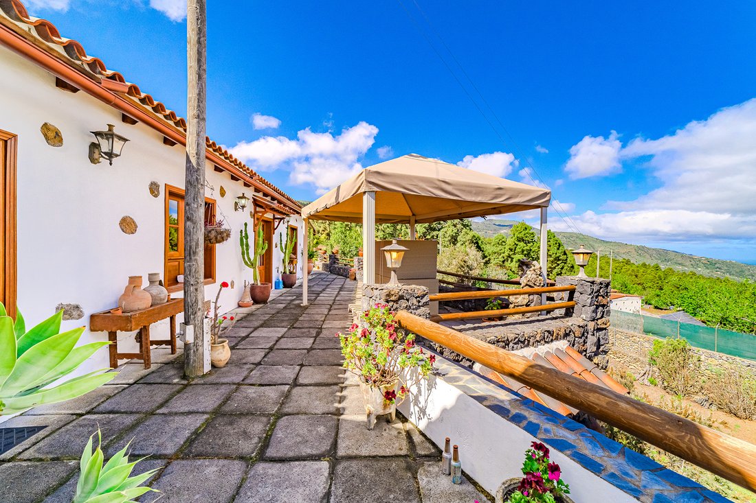 Farm Ranch in Icod de los Vinos, Canary Islands, Spain 4 - 18197454