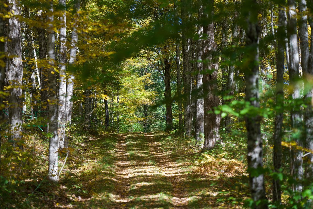 Land in Freedom, Maine, United States 4 - 18197630