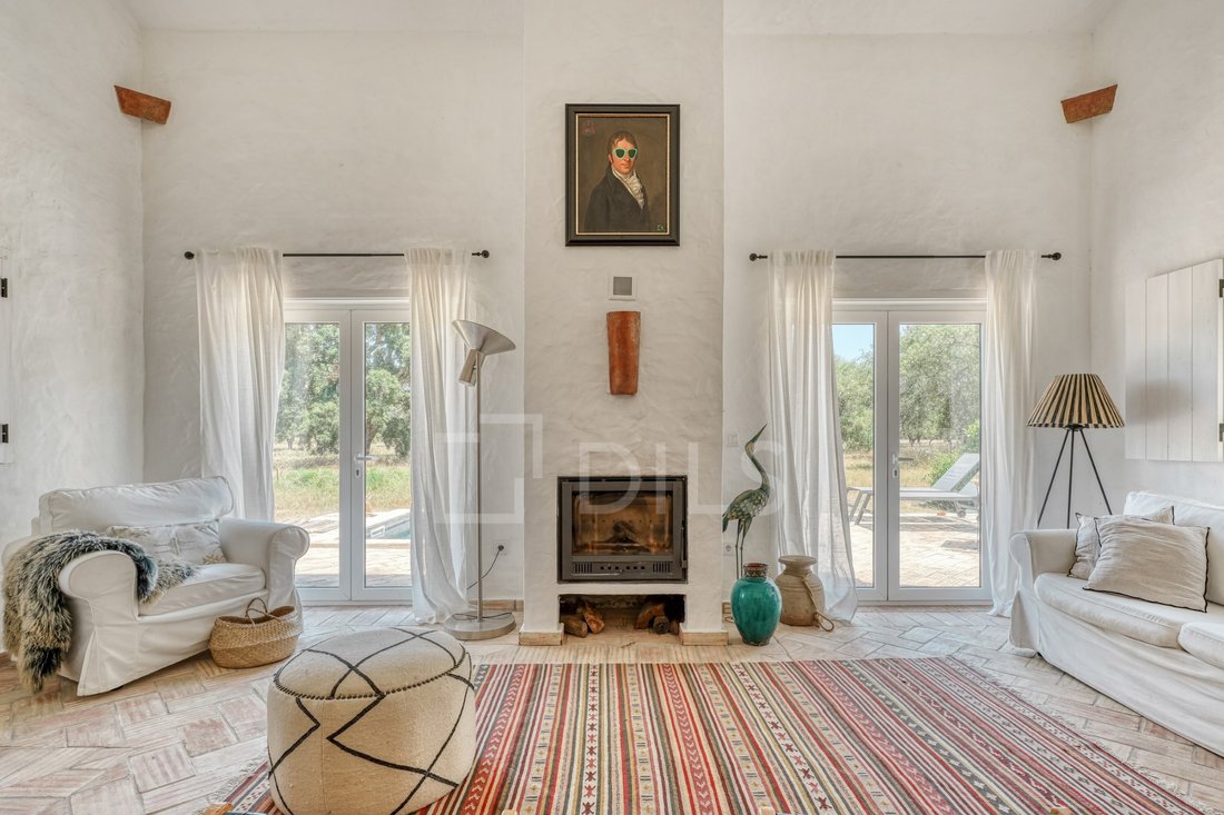 House in Alcacer do Sal, Setubal, Portugal 4 - 18198256