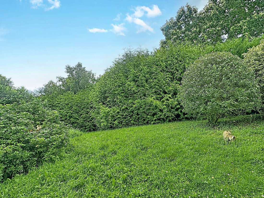 Villa en Sud, Igny, Francia 4 - 18198504