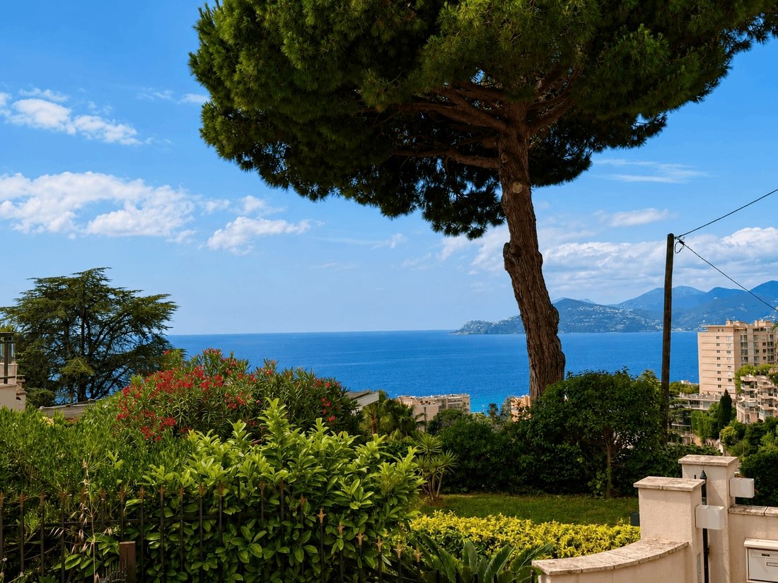 Villa in Cannes, Provence-Alpes-Côte d'Azur, France 5 - 18198808