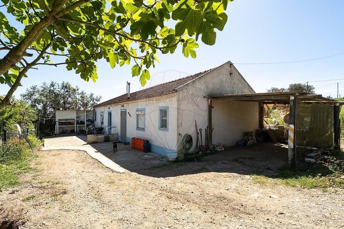 Farm Ranch in Santiago do Cacem, Santa Cruz e Sao Bartolomeu da Serra, Setubal, Portugal 4 - 18015174