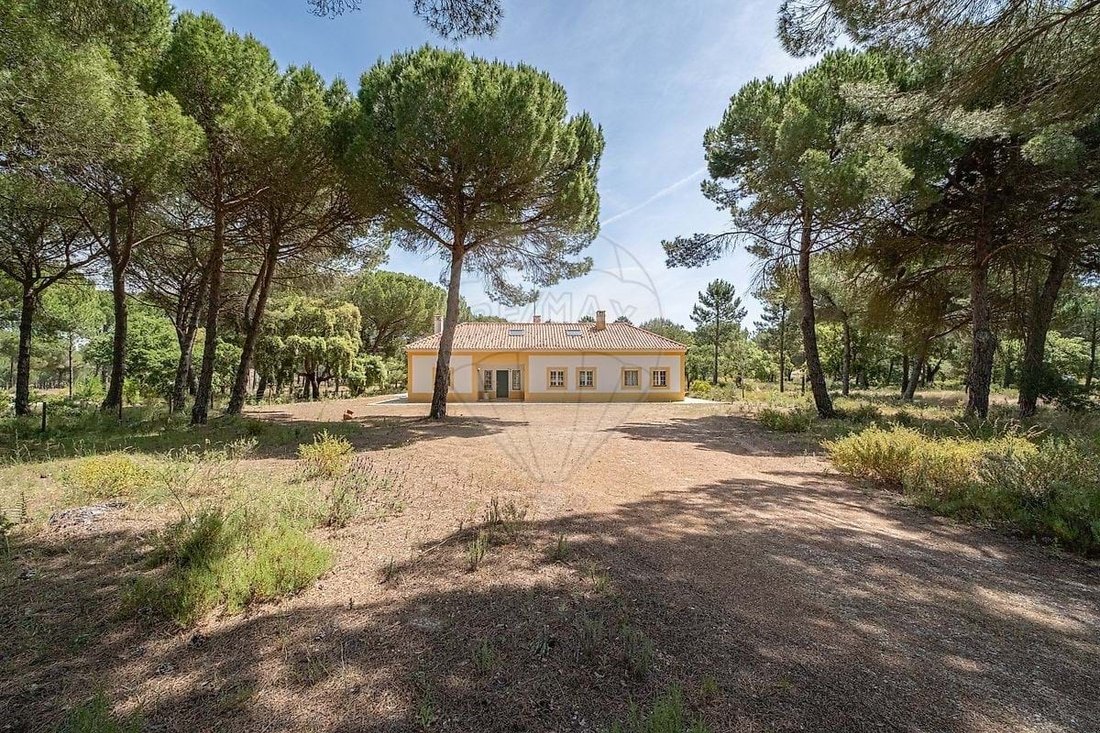 Farm Ranch in Alcacer do Sal, Setubal, Portugal 5 - 16076544