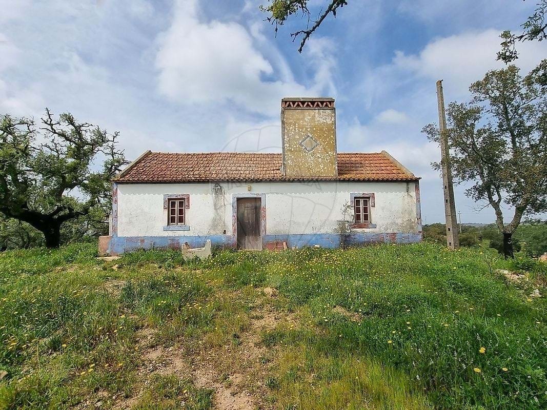 Farm Ranch in Sao Francisco da Serra, Setubal, Portugal 2 - 16890493