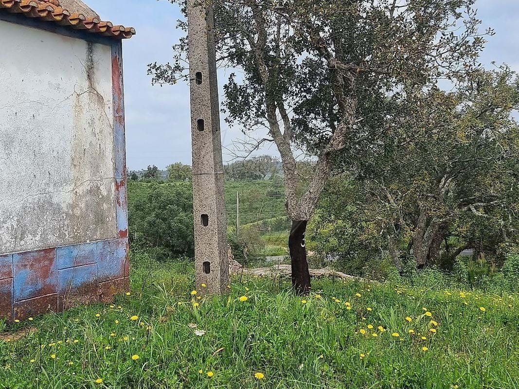 Farm Ranch in Sao Francisco da Serra, Setubal, Portugal 5 - 16890493