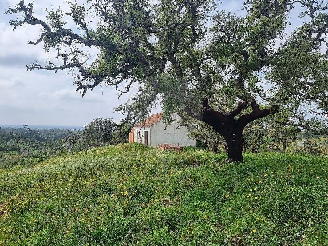 Farm Ranch in Sao Francisco da Serra, Setubal, Portugal 1 - 16890493