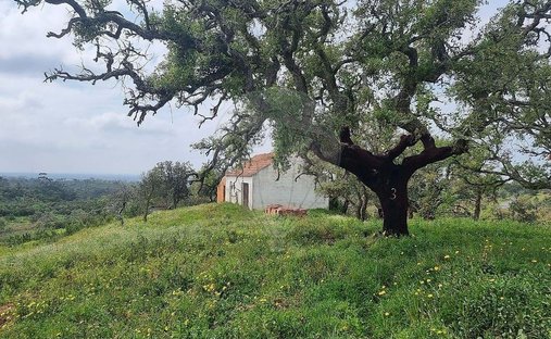 Farm Ranch in Sao Francisco da Serra, Setúbal Municipality, Portugal 1