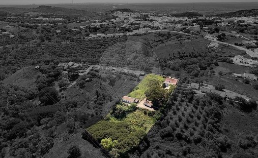 Farm Ranch in Santiago do Cacem, Santa Cruz e Sao Bartolomeu da Serra, Setubal, Portugal 1