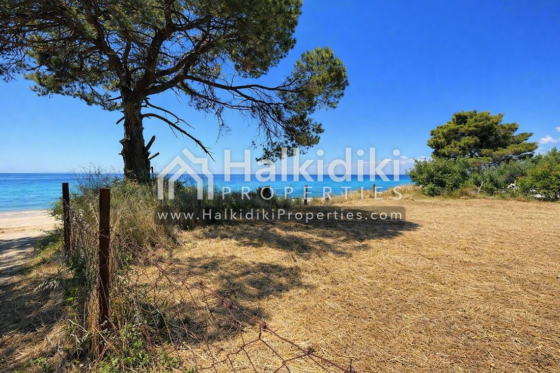 Land in Sithonia, Macedonia and Thrace, Greece 2 - 18203296