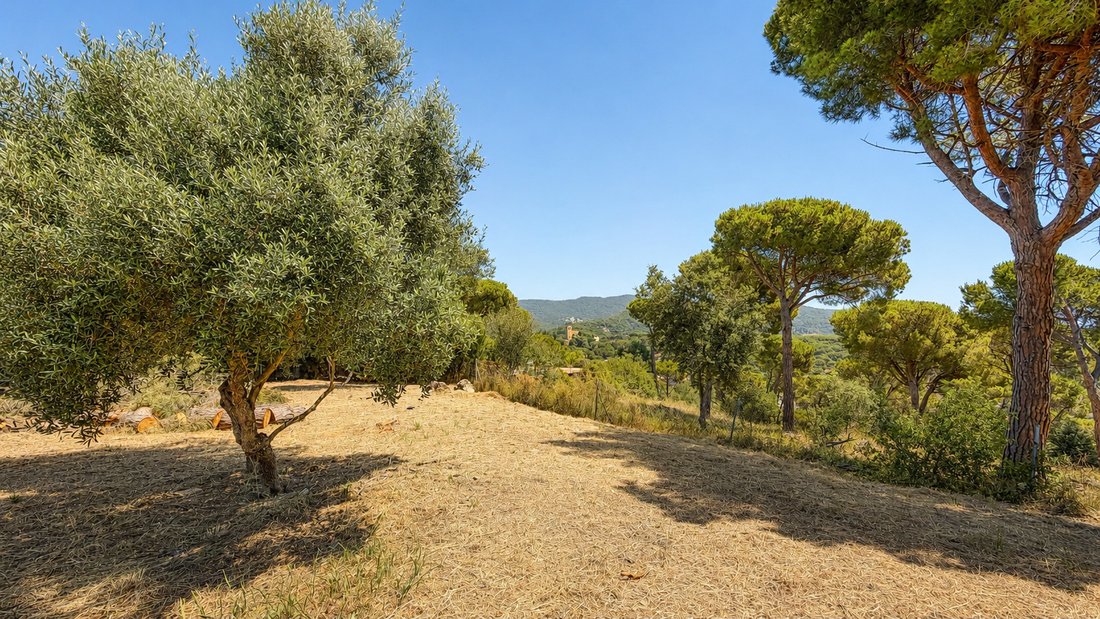 Land in Sant Andreu de Llavaneres, Catalonia, Spain 4 - 18205475
