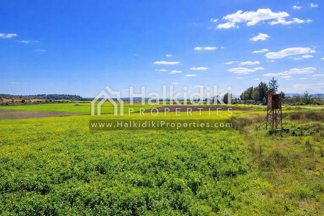 Land in Kassandra, Macedonia and Thrace, Greece 4 - 11865010