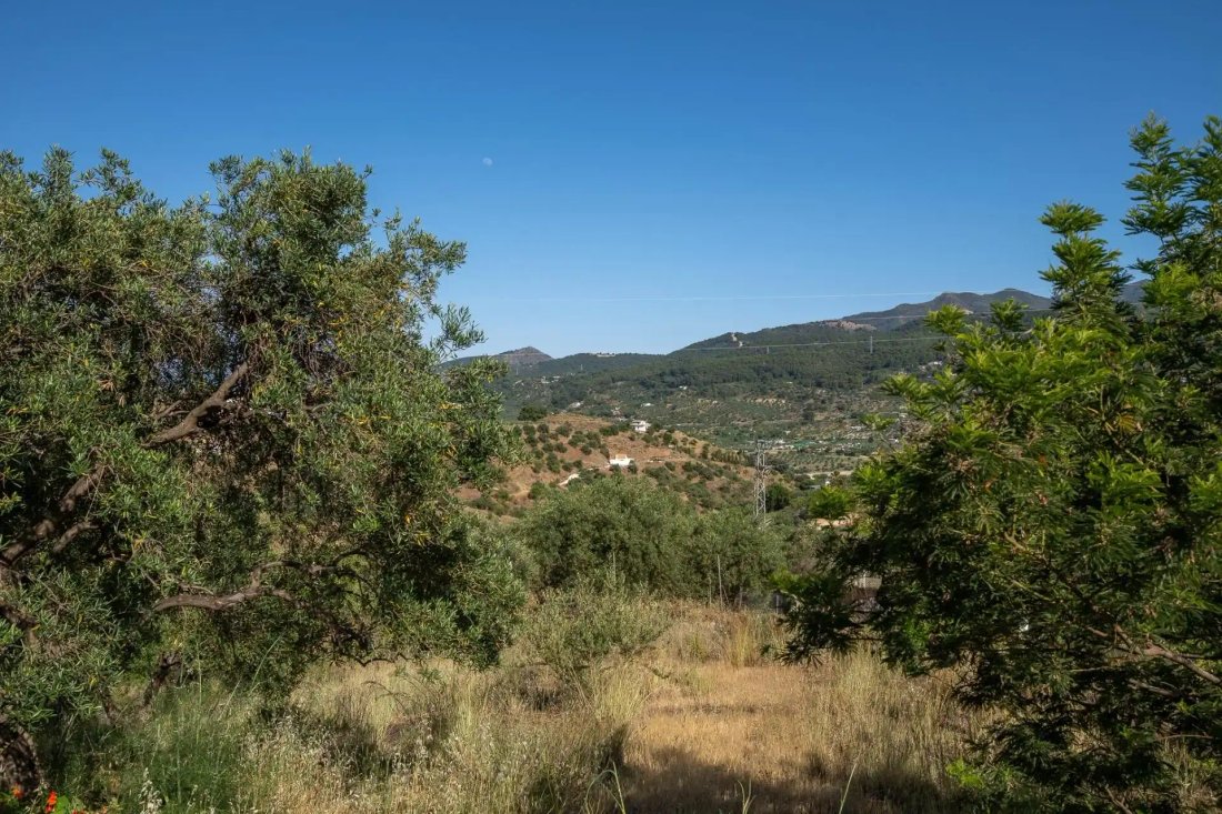 House in Monda, Andalusia, Spain 5 - 18199710