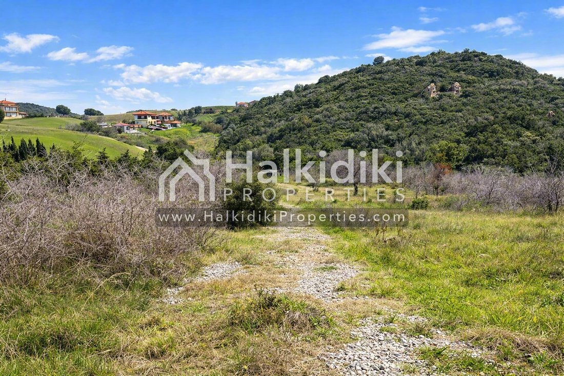 Land in Aristotle, Macedonia and Thrace, Greece 3 - 18203170