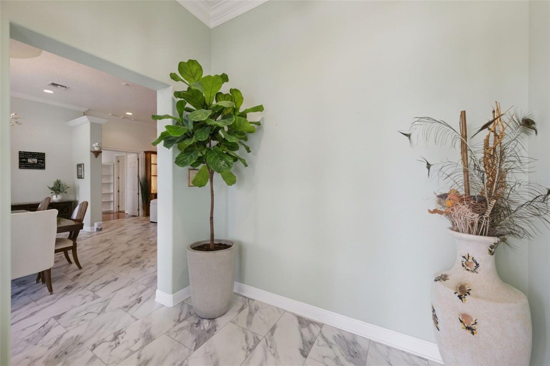 House in Clermont, Florida, United States 5 - 18203774