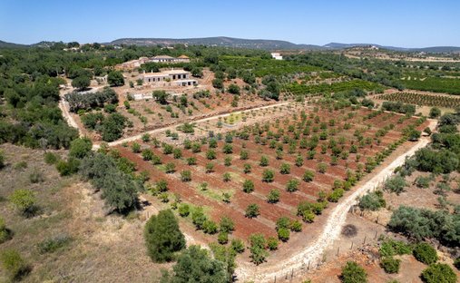 Finca à São Bartolomeu de Messines, Algarve, Portugal 1