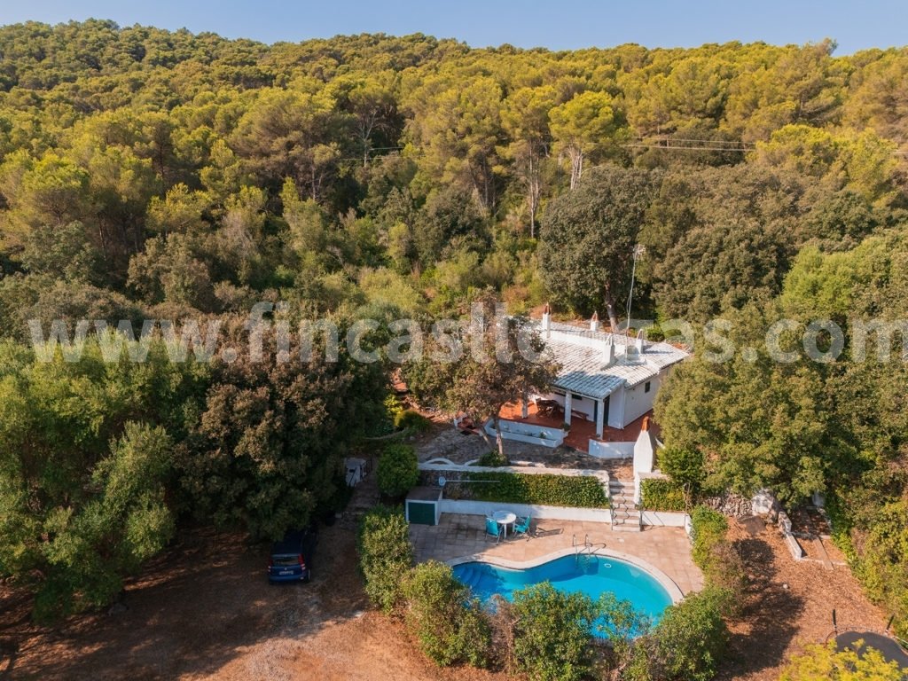 House in es Mercadal, Balearic Islands, Spain 2 - 18201105