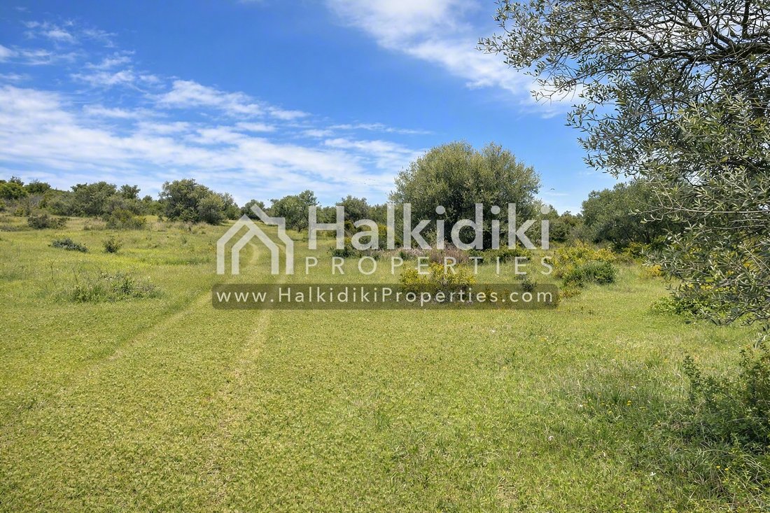 Land in Polygyros, Macedonia and Thrace, Greece 2 - 12034510