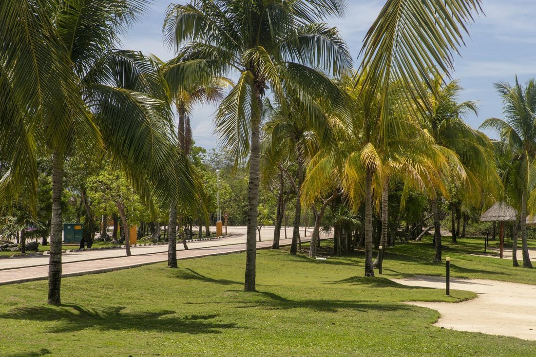 Land in Cancún, Quintana Roo, Mexico 5 - 18202883