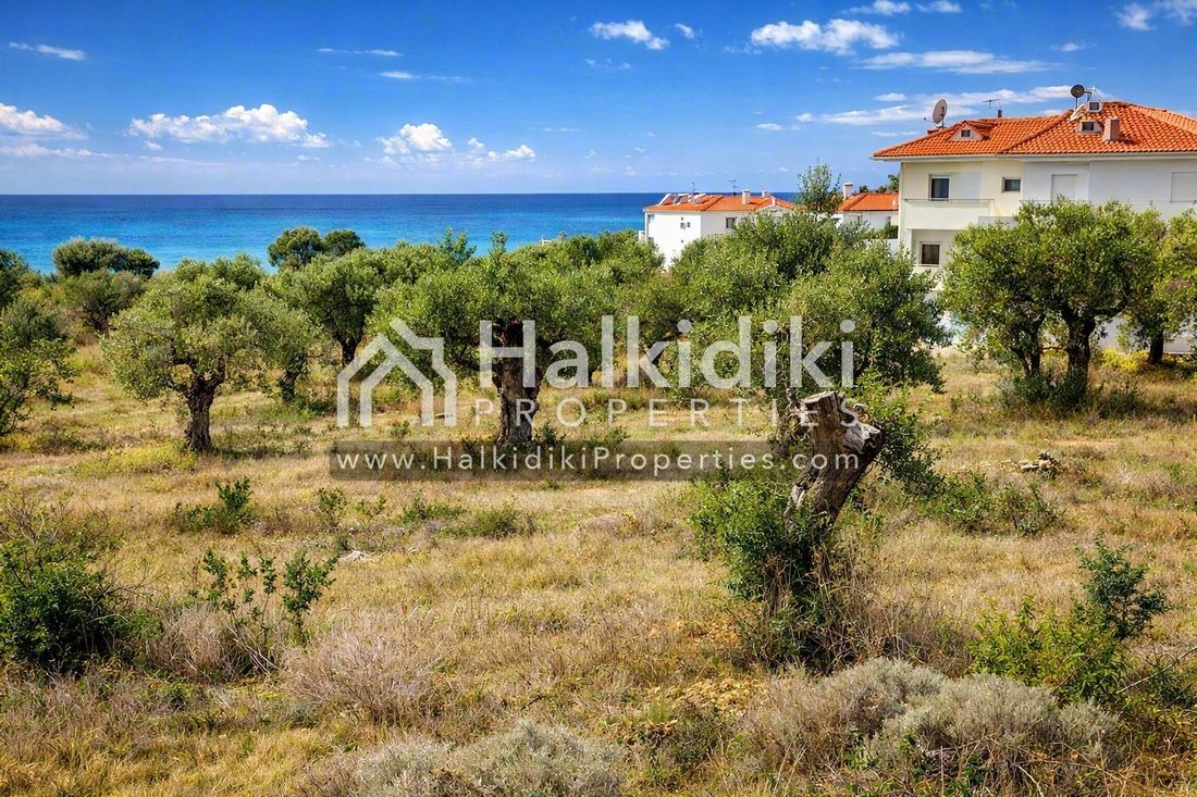 Land in Polygyros, Macedonia and Thrace, Greece 3 - 11865039