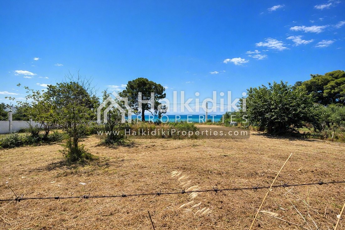Land in Sithonia, Macedonia and Thrace, Greece 5 - 18203296