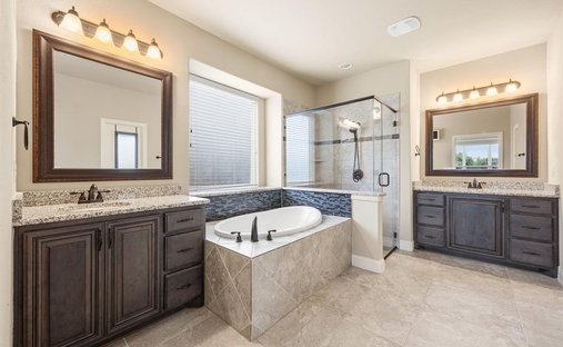 House in Forney, Texas, United States 1