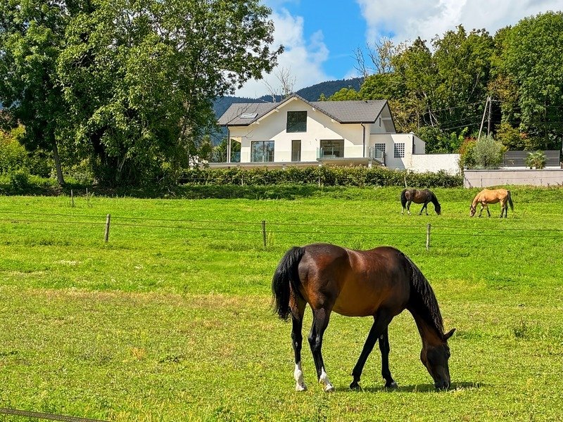 House in Divonne-les-Bains, Auvergne-Rhône-Alpes, France 1 - 16882439