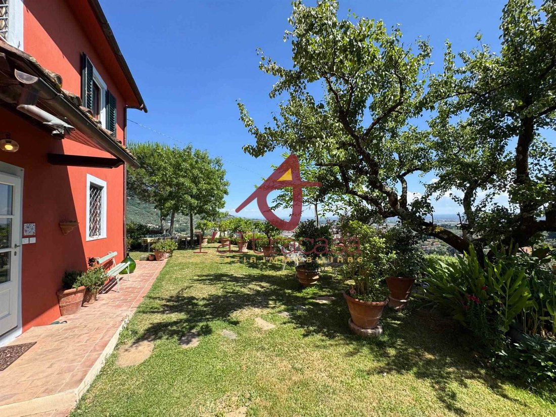 Altro a Centro, Pescia, Toscana 5 - 18205489