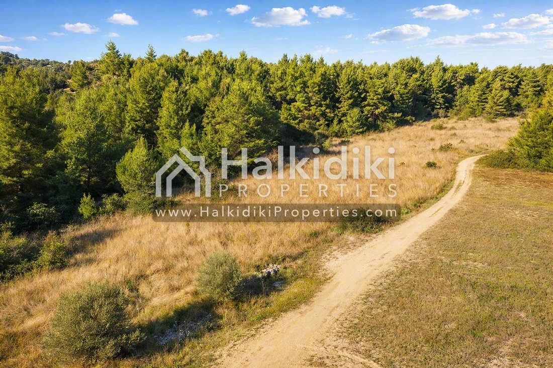Land in Pallini Municipal Unit, Macedonia and Thrace, Greece 4 - 11865094
