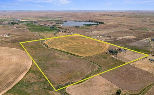 Farm Ranch in Wellington, Colorado, United States 1