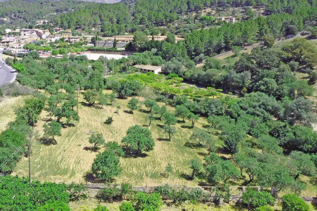 Land in Andratx, Balearic Islands, Spain 3 - 18203391