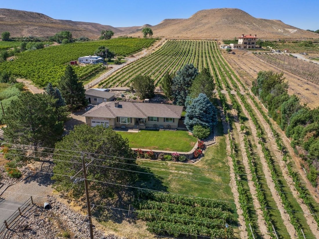 House in Palisade, Colorado, United States 1 - 16757451